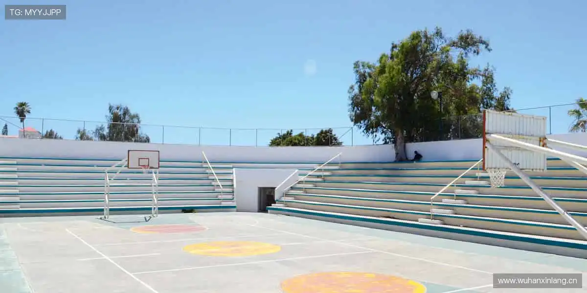 🏅 珍藏回忆,与偶像同行!🧢